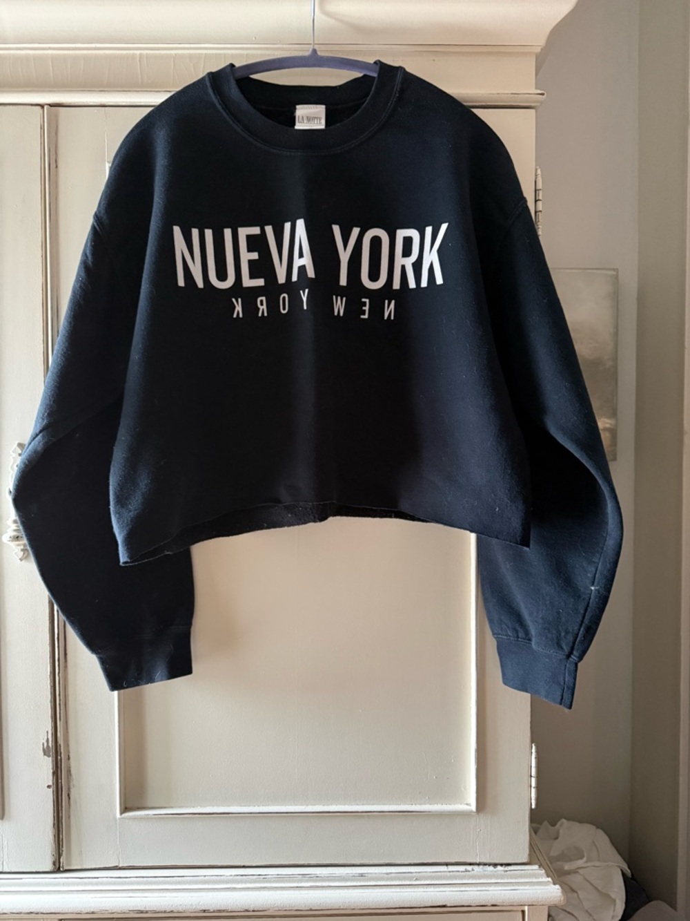 Aritzia Cropped Sweatshirt